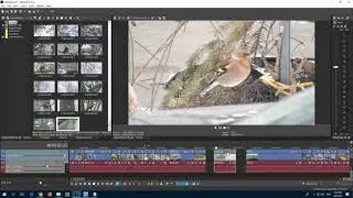 How to Flip a Video Horizontally in Vegas Pro