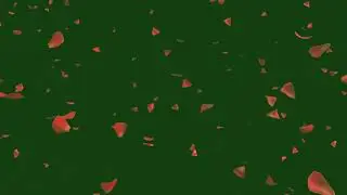 Rose petals falling green screen effects animations | Rose flowers Petals Chroma key  NEWYEAR 2021
