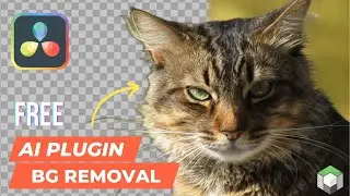 Free Ai-Powered Background Removal Plugin for DaVinci Resolve