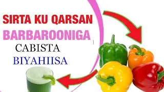 𝐁𝐀𝐑𝐁𝐀𝐑𝐎𝐎𝐍𝐈𝐆𝐀 🫑 SIRTA KU QARSAN CUNISTA IYO CABISTA BIYAHIISA🫑