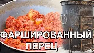 STUFFED PEPPERS in a CAULDRON.
