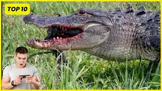 Top 10 Absolute Worst Ways To Die