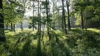 BEST VIDEO GAME GRAPHICS 2017