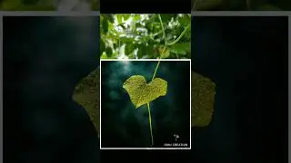 Before 🧩 After 🔥#editingtutorial #snapseed #lightroom #edit #naturephotography #mobileediting