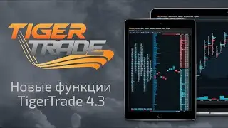 New features of the TigerTrade 4.3 terminal
