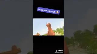 неудачная охота Мармока 🤣🤣🤣