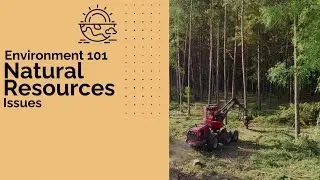 Natural Resources - Issues | Environment 101 | CSEN