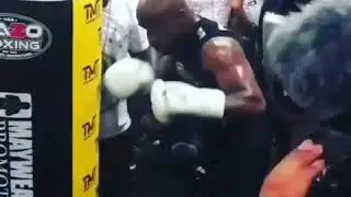 NEW!!!  ОТКРЫТАЯ ТРЕНИРОВКА ФЛОЙДА МЕЙВЕЗЕРА!!! 10.08.2017