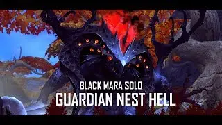 [CDN] Black Mara Solo Guardian Nest Hell