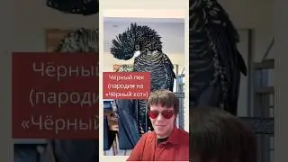 Чёрный пек #пародия на Черный кот #попугай #прикол #юмор #паружьипародии #птицы