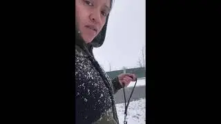 Snowy Sunday