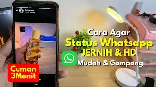 Cara Bikin Video/Foto Status WhatsApp Tidak Pecah & Tetap Jernih!