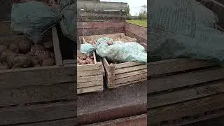 19 мая 2024 Чувашия 21RUS