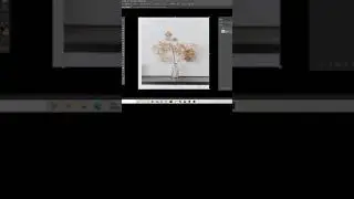 How to use the Content Aware Scale in Adobe Illustrator. 