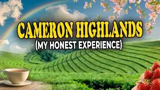 Things You Must Know Before Visiting Cameron Highlands, Malaysia (Honest Opinion) | Just Lazlo