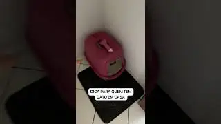 DICA PARA QUEM TEM GATO