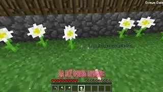 Ромашки 🥹🌼🤍✨ (Компот 💙)