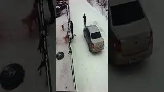 Опер хочет долбануть шокером собаку и проникнуть на территорию в Вологде