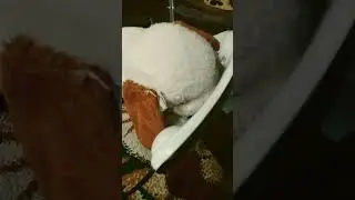 как всегда