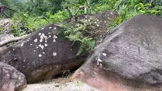 caminata a catarata/поход на водопад 23/02/2024