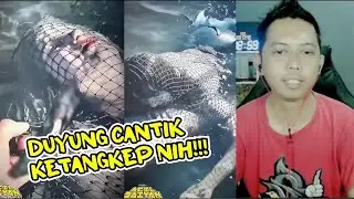DUYUNG CANTIK KETANGKEP JARING NELAYAN 😱⁉ REACT NGAKAK