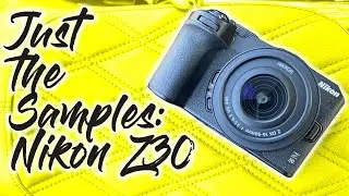 Just the Samples - Nikon Z30