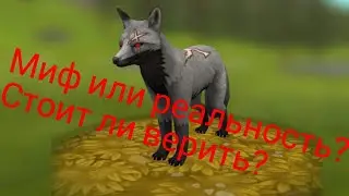 Ibeta125 миф или реальность? Wildcraft