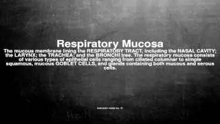 Medical vocabulary: What does Respiratory Mucosa mean
