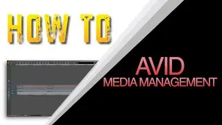 HOW TO AVID IMPORT & LOOK AT AVID MEDIA STRUCTURE