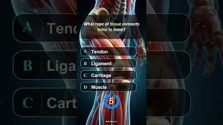 Anatomy Quiz Part - 3 I General Knowledge I #shorts #youtubeshorts #shortsfeed #gk #spedutech