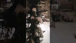 1 ноября 2024 г.