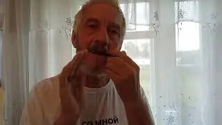 музей 