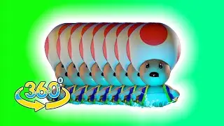 ⚡ Toad  can I get a Hoya VR ⚡