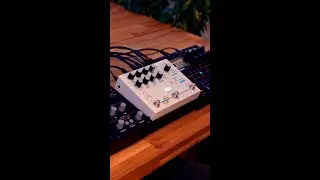 Hologram Microcosm: Counting to Four with Digitakt