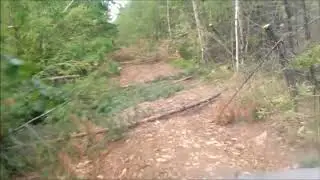 Наши лесные дороги в 2018. ч.3.