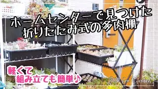 【多肉植物】土を買いに行って見つけた❣️使える多肉棚で冬支度【ガーデニング】