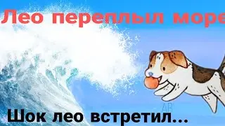 Лео переплыл море! 😧Лето джек Рассела. Джек Рассел терьер. Лео (говорящая собака)