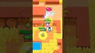 My main brawler 🤩 