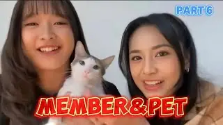 JKT48 MEMBER & PET PART 6