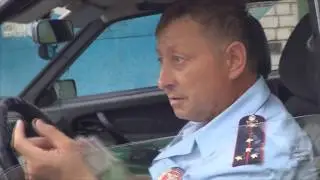 ИДПС Благовещенск: Не мешайте мне работать или не мешайте мне играть в кошки-мышки