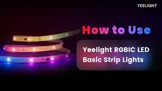 Unboxing & Product Guide: How to Use Yeelight RGBIC LED Basic Strip Lights