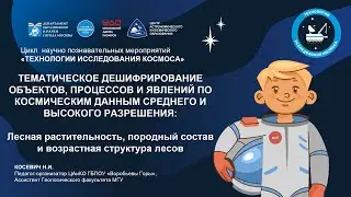 Лесная растительность, породный состав и возрастная структура лесов