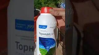 обработка сорняков средством Торнадо из аккумуляторного опрыскивателя.