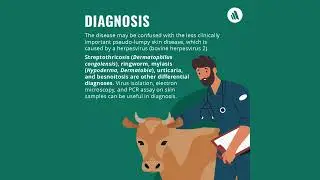 A Quick Guide to Lumpy Skin Disease in Cattle