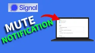 How to Mute Notifications in Signal 2025?