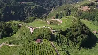 Val di Cembra - Vacanza al profumo di vino e natura