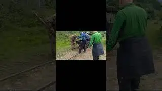 Переворачиваем пионерку