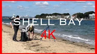 Shell Bay Dorset England