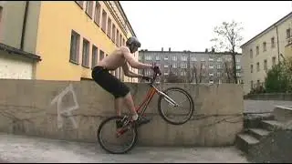 skokszony pisana