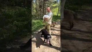 ЧЕРНЫШ В СТАЕ
